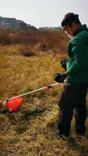 Accrochage latéral d'une tondeuse à gazon/Nouvelle débroussailleuse 4 temps Débroussailleuse à dos 4 temps Débroussailleuse 2 temps de qualité supérieure Cg260 Débroussailleuse 25,4 cc Débroussailleuse 43 cc